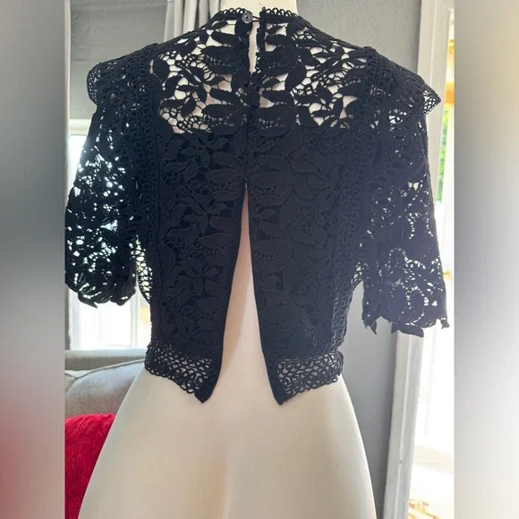 Elegant Black Lace Crop Top - Picture 6 of 7